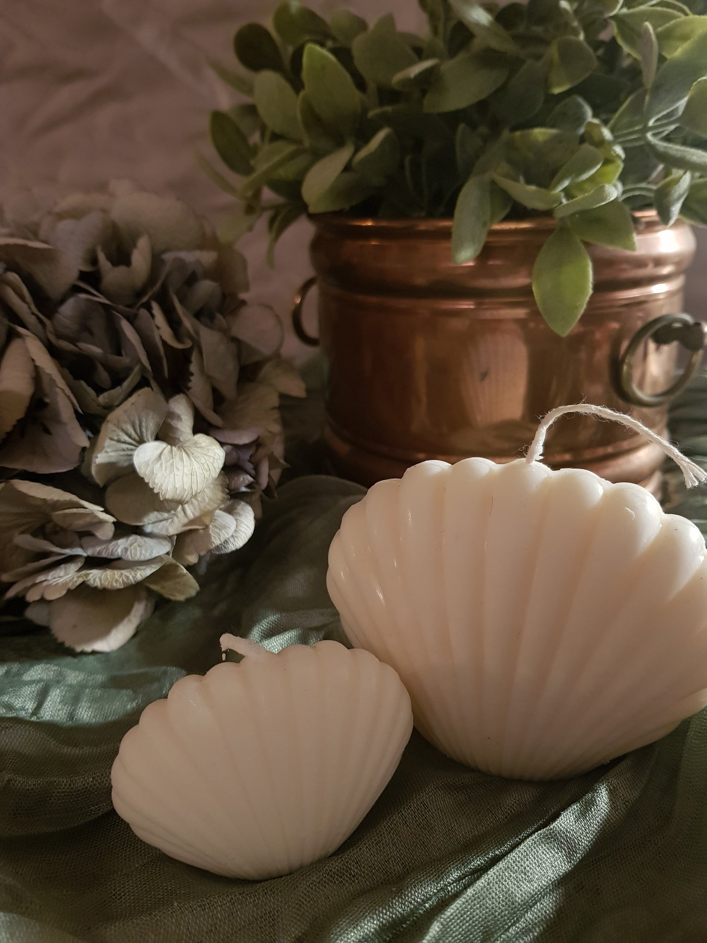 Bougie Coquillage