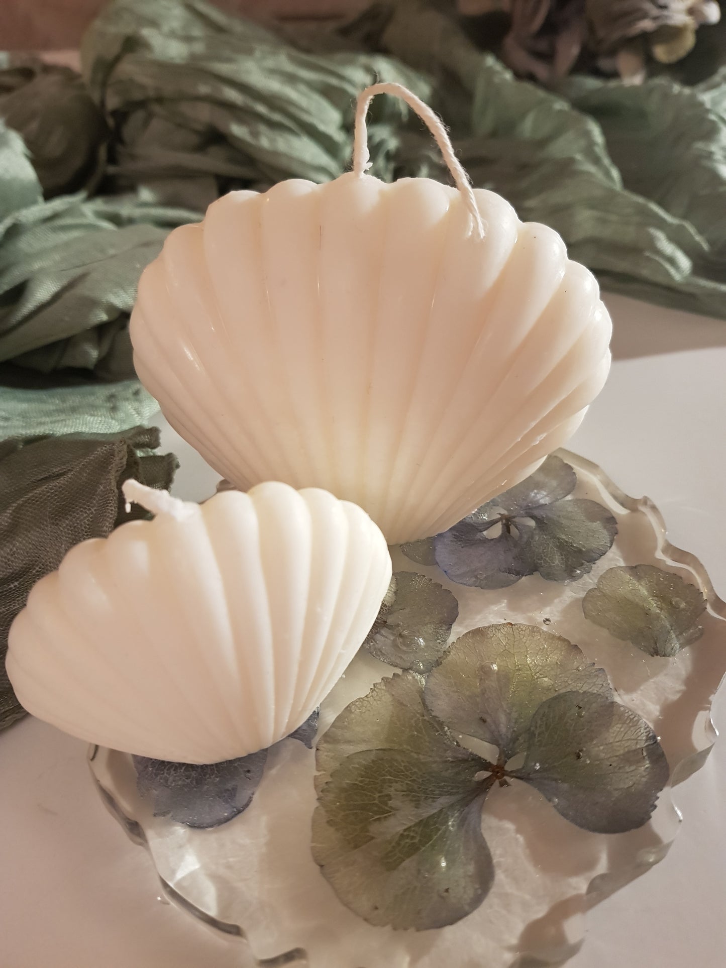 Bougie Coquillage