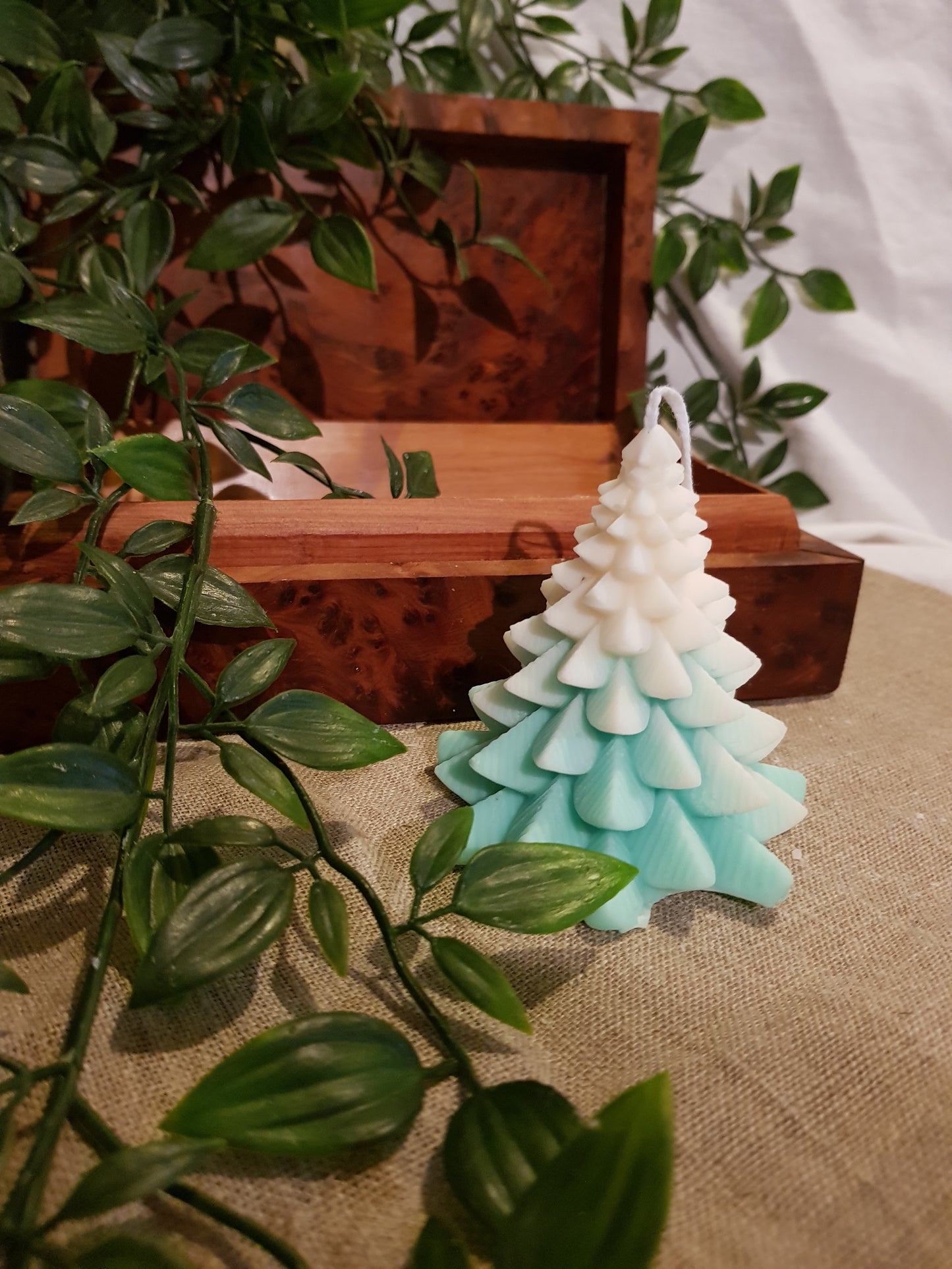 Bougie Sapin Norman - enneigé menthe
