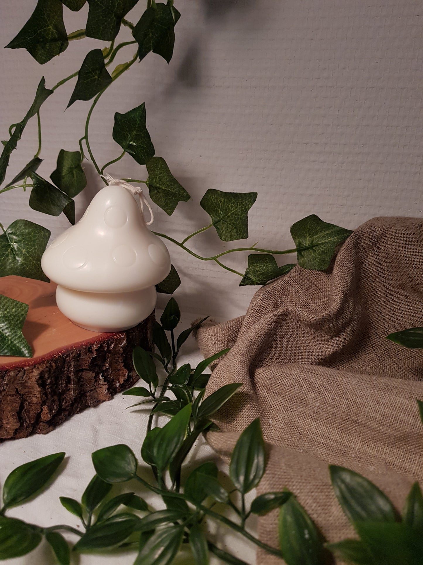 Bougie Mushroom bicolore