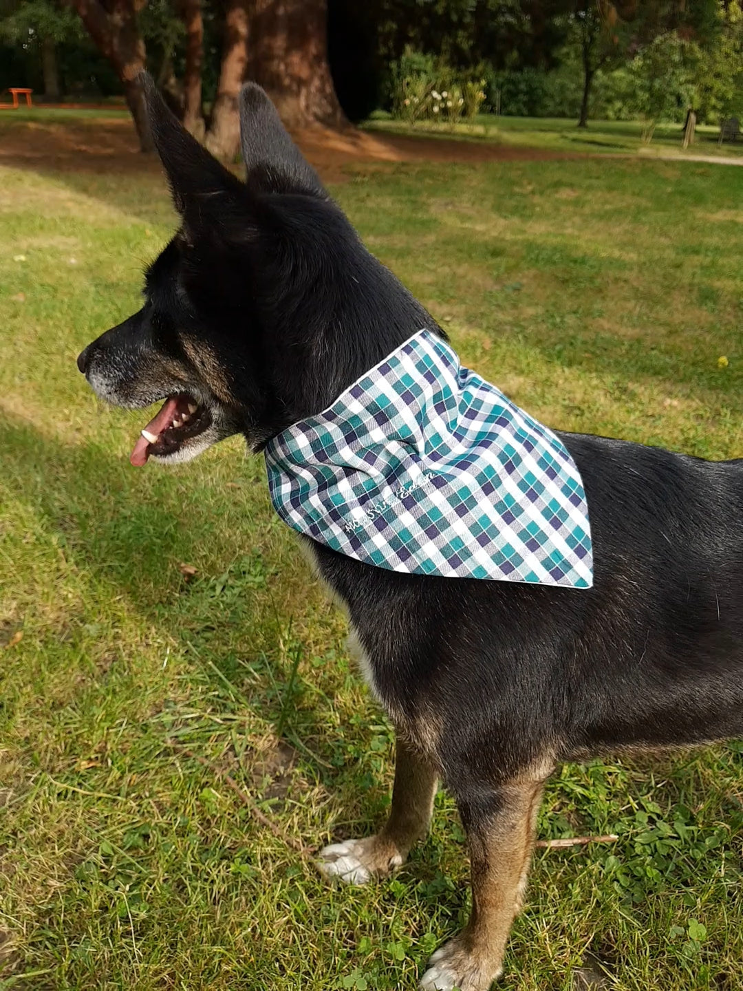 Bandana pour chien vichy