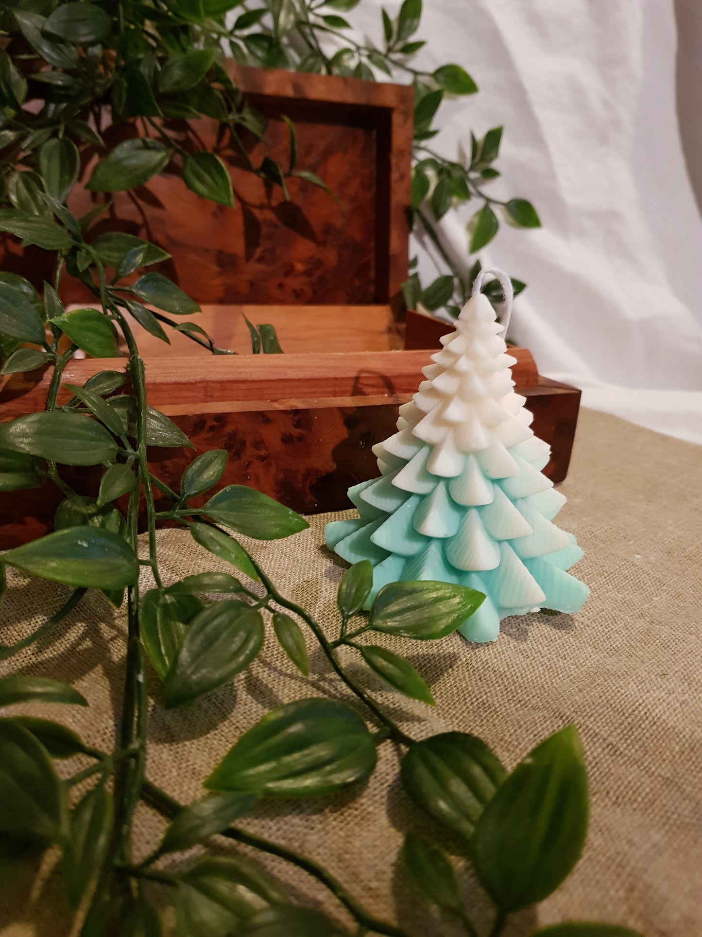 Bougie Sapin Norman - enneigé menthe