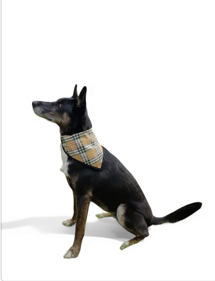 Bandana pour chien écossais