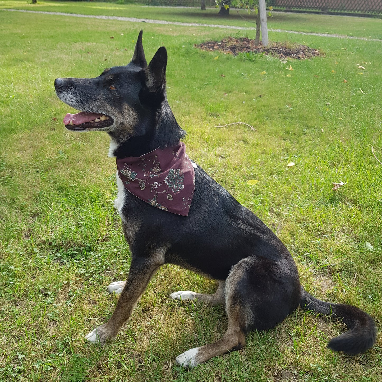 Bandana pour chien bohème