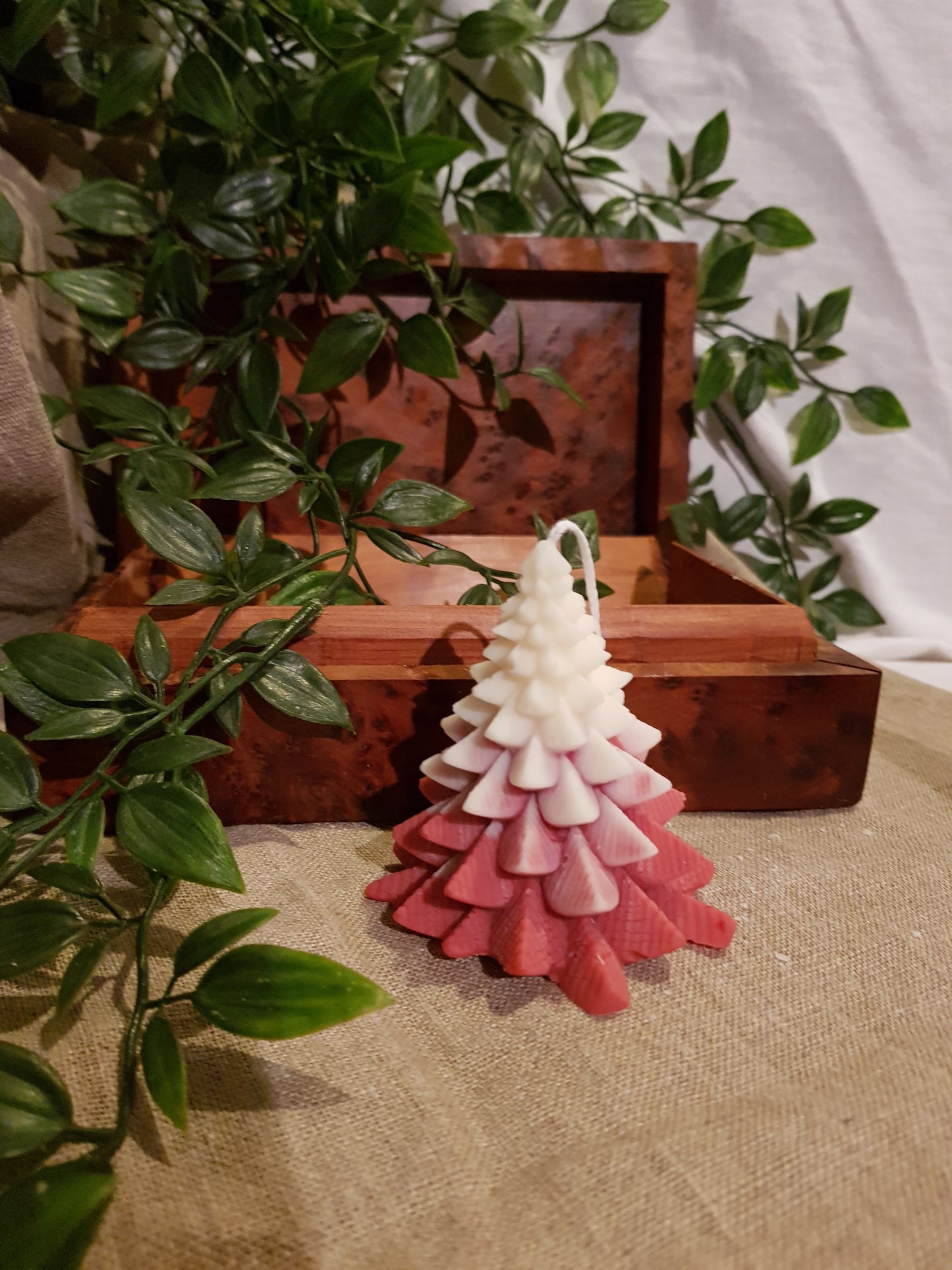 Bougie Sapin Norman - enneigé rouge
