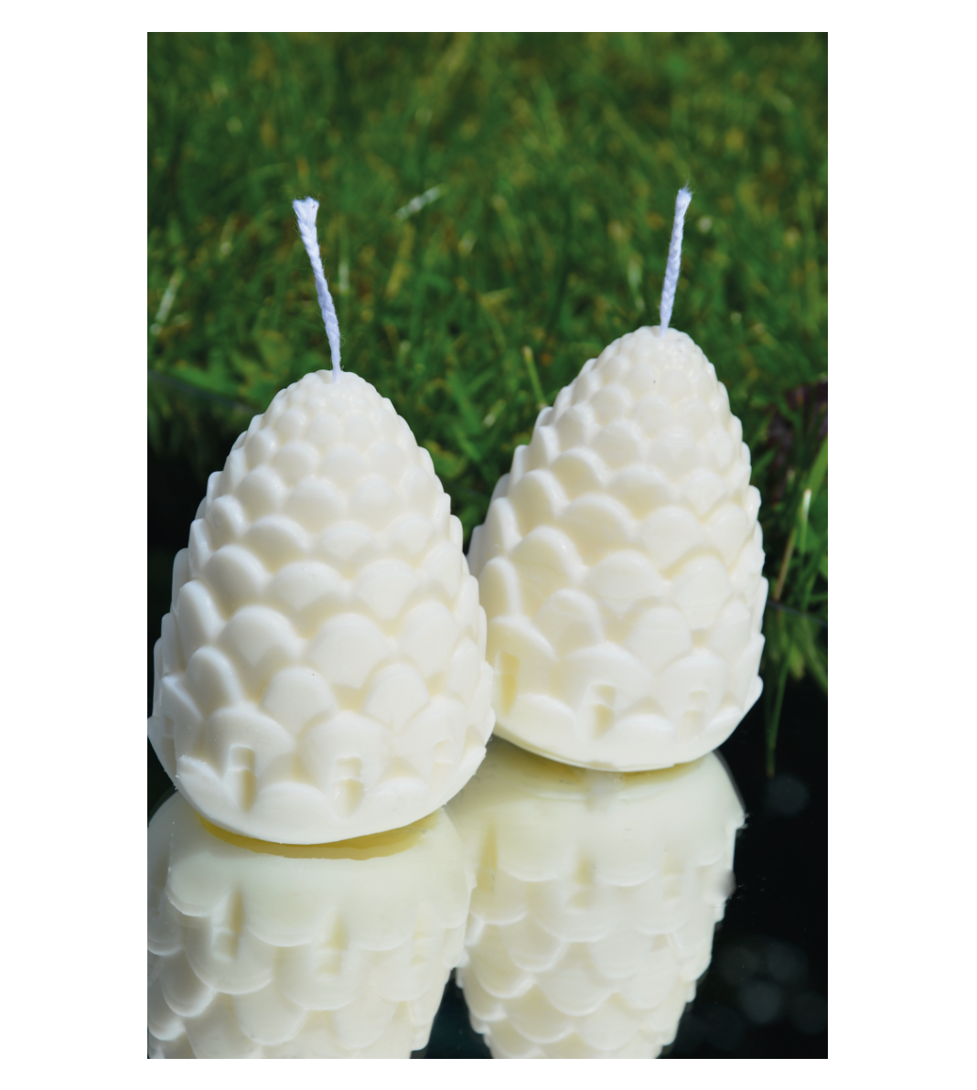 Bougie Pomme de pin
