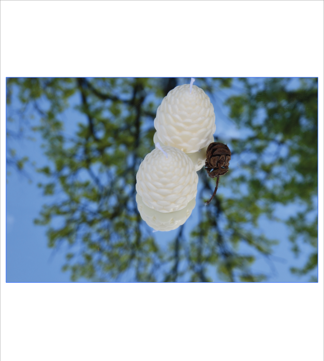 Bougie Pomme de pin